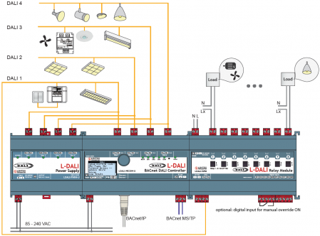 RM8 diagram